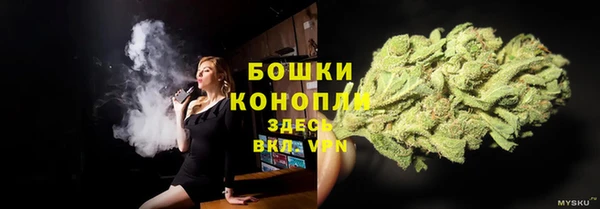 PSILOCYBIN Баксан