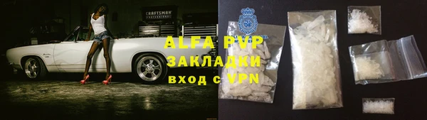 PSILOCYBIN Баксан