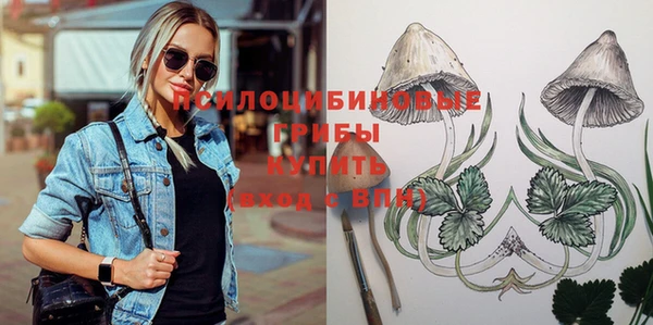 PSILOCYBIN Баксан